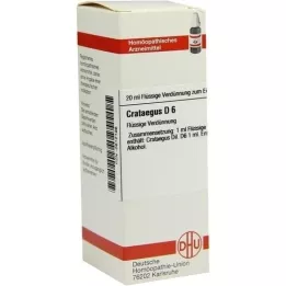 CRATAEGUS D 6 Dilution, 20 ml