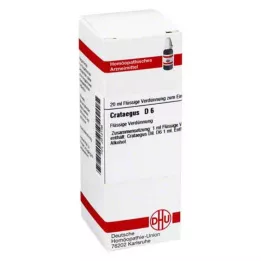 CRATAEGUS D 6 Dilution, 20 ml