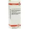 CUPRUM ARSENICOSUM D 12 Dilution, 20 ml