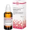 EQUISETUM ARVENSE D 3 Dilution, 50 ml