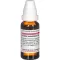 FUCUS VESICULOSUS D 6 Dilution, 20 ml