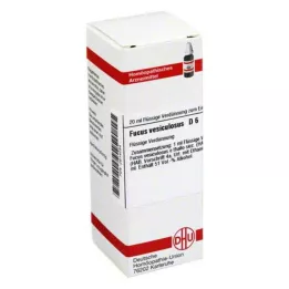 FUCUS VESICULOSUS D 6 Dilution, 20 ml