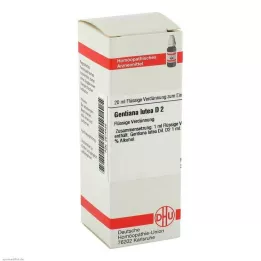 GENTIANA LUTEA D 2 Dilution, 20 ml
