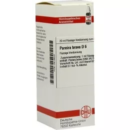 PAREIRA BRAVA D 6 Dilution, 20 ml