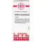 ACIDUM SARCOLACTICUM D 6 Tabletten, 80 St