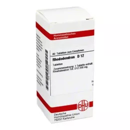 RHODODENDRON D 12 Tabletten, 80 St