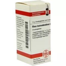 RHUS TOXICODENDRON D 10 Globuli, 10 g