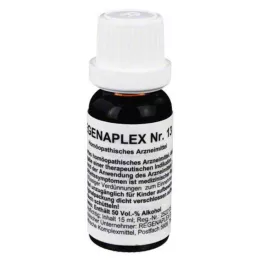 REGENAPLEX Nr.13 Tropfen, 15 ml