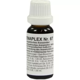 REGENAPLEX Nr.67 Tropfen, 15 ml