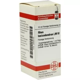 RHUS TOXICODENDRON LM VI Dilution, 10 ml