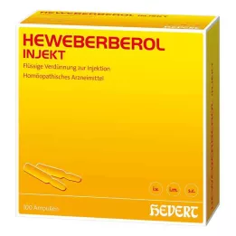 HEWEBERBEROL injekt Ampullen, 100 St