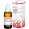 HAMAMELIS D 3 Dilution, 50 ml