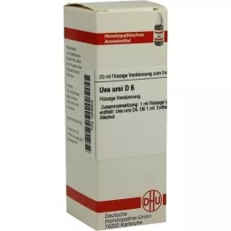 UVA URSI D 6 Dilution, 20 ml