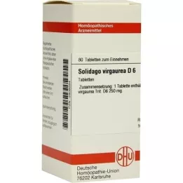 SOLIDAGO VIRGAUREA D 6 Tabletten, 80 St