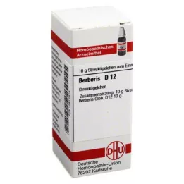 BERBERIS D 12 Globuli, 10 g