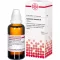 EQUISETUM ARVENSE Urtinktur, 50 ml