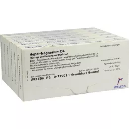 HEPAR MAGNESIUM D 4 Ampullen, 48X1 ml