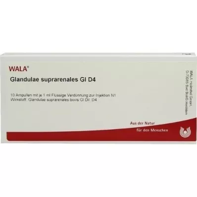 GLANDULAE SUPRARENALES GL D 4 Ampullen, 10X1 ml