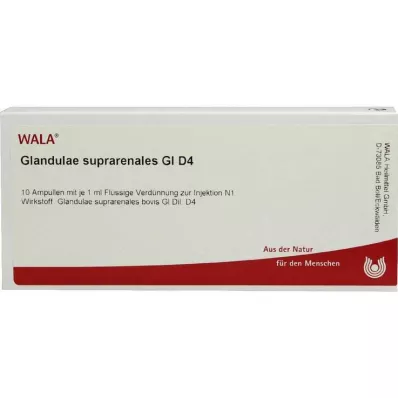 GLANDULAE SUPRARENALES GL D 4 Ampullen, 10X1 ml GLANDULAE SUPRARENALES GL D 4 Ampullen, 10X1 ml
