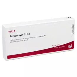 MESENCHYM GL D 4 Ampullen, 10X1 ml