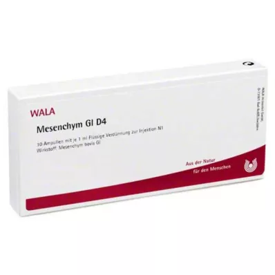MESENCHYM GL D 4 Ampullen, 10X1 ml