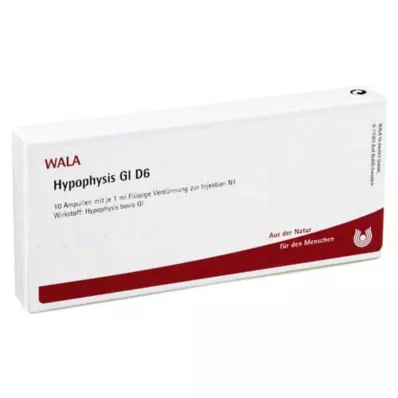 HYPOPHYSIS GL D 6 Ampullen, 10X1 ml HYPOPHYSIS GL D 6 Ampullen, 10X1 ml