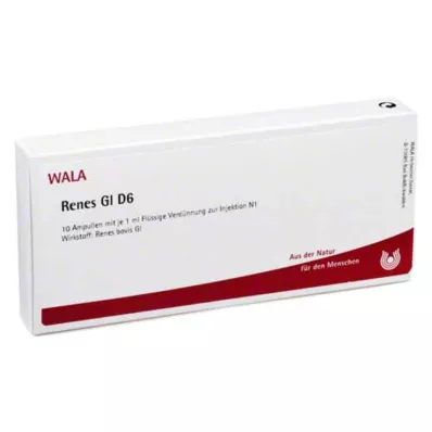 RENES GL D 6 Ampullen, 10X1 ml