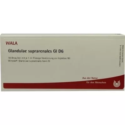 GLANDULAE SUPRARENALES GL D 6 Ampullen, 10X1 ml
