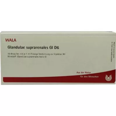 GLANDULAE SUPRARENALES GL D 6 Ampullen, 10X1 ml