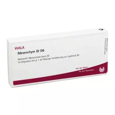 MESENCHYM GL D 6 Ampullen, 10X1 ml