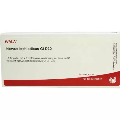 NERVUS ISCHIADICUS GL D 30 Ampullen, 10X1 ml NERVUS ISCHIADICUS GL D 30 Ampullen, 10X1 ml