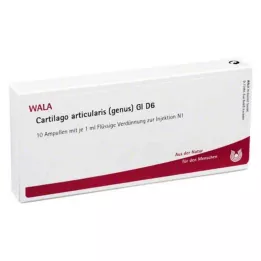 CARTILAGO articularis genus GL D 6 Ampullen, 10X1 ml