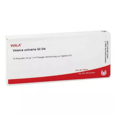 VESICA URINARIA GL D 4 Ampullen, 10X1 ml VESICA URINARIA GL D 4 Ampullen, 10X1 ml