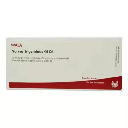 NERVUS TRIGEMINUS GL D 6 Ampullen, 10X1 ml