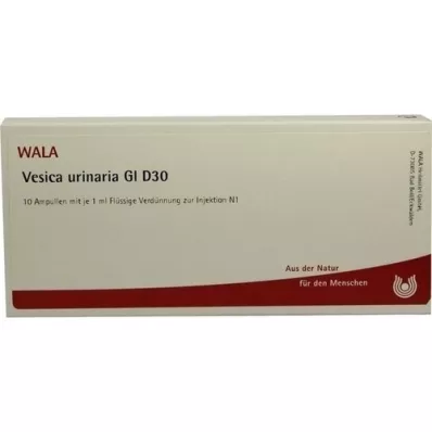 VESICA URINARIA GL D 30 Ampullen, 10X1 ml