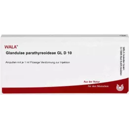 GLANDULAE PARATHYREOIDEAE GL D 10 Ampullen, 10X1 ml