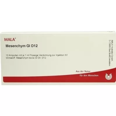 MESENCHYM GL D 12 Ampullen, 10X1 ml