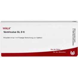 VENTRICULUS GL D 6 Ampullen, 10X1 ml
