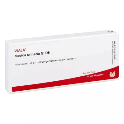 VESICA URINARIA GL D 6 Ampullen, 10X1 ml VESICA URINARIA GL D 6 Ampullen, 10X1 ml