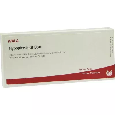 HYPOPHYSIS GL D 30 Ampullen, 10X1 ml