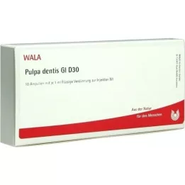 PULPA DENTIS GL D 30 Ampullen, 10X1 ml