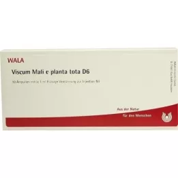 VISCUM MALI e planta tota D 6 Ampullen, 10X1 ml