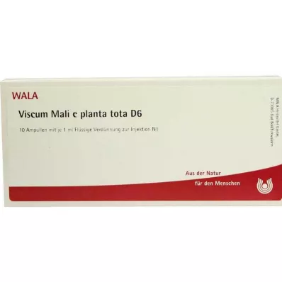 VISCUM MALI e planta tota D 6 Ampullen, 10X1 ml