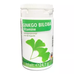 IMOVIT Ginkgo Biloba Kapseln, 60 St