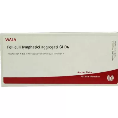 FOLLICULI LYMPHATICI aggregati GL D 6 Ampullen, 10X1 ml