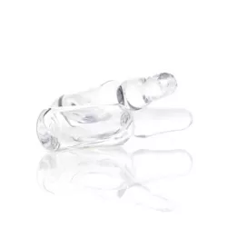 FOLLICULI LYMPHATICI aggregati GL D 10 Ampullen, 10X1 ml
