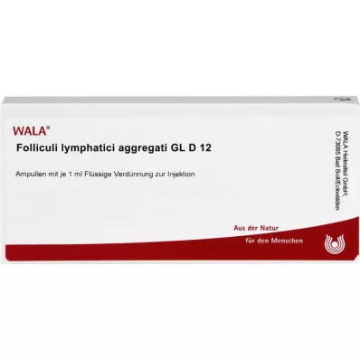 FOLLICULI LYMPHATICI aggregati GL D 12 Ampullen, 10X1 ml