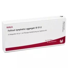 FOLLICULI LYMPHATICI aggregati GL D 12 Ampullen, 10X1 ml
