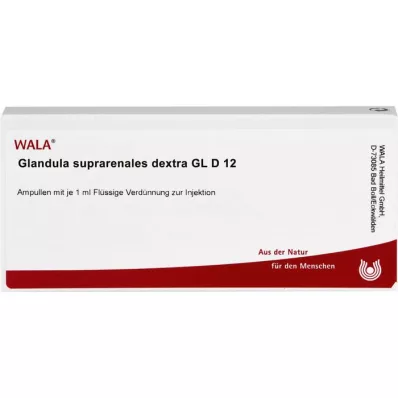 GLANDULA SUPRARENALES dextra GL D 12 Ampullen, 10X1 ml