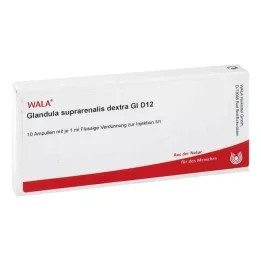 GLANDULA SUPRARENALES dextra GL D 12 Ampullen, 10X1 ml
